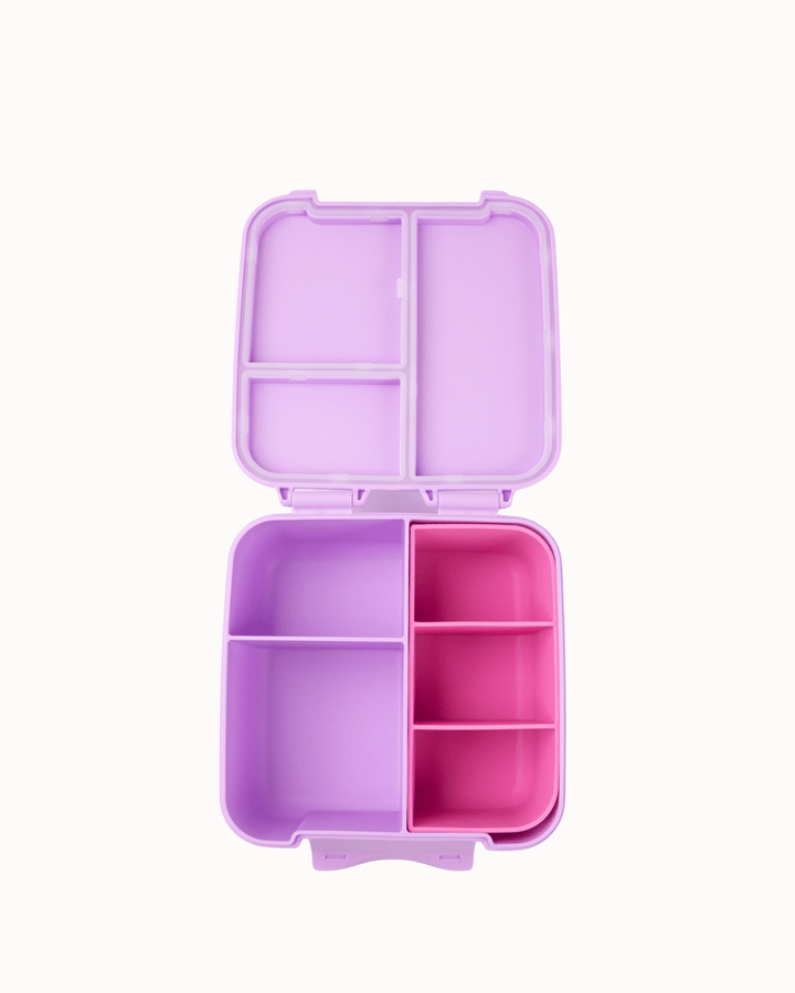 MontiiCo Bite Tray - Floss empty look inside the bite lunch box