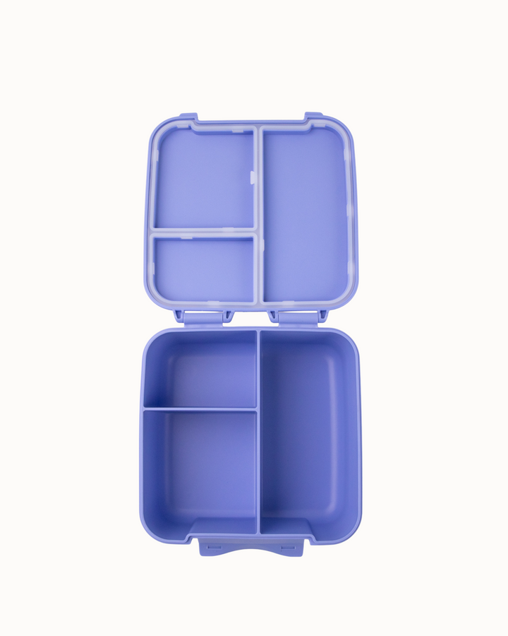 MontiiCo Bite Lunch Box - Splash