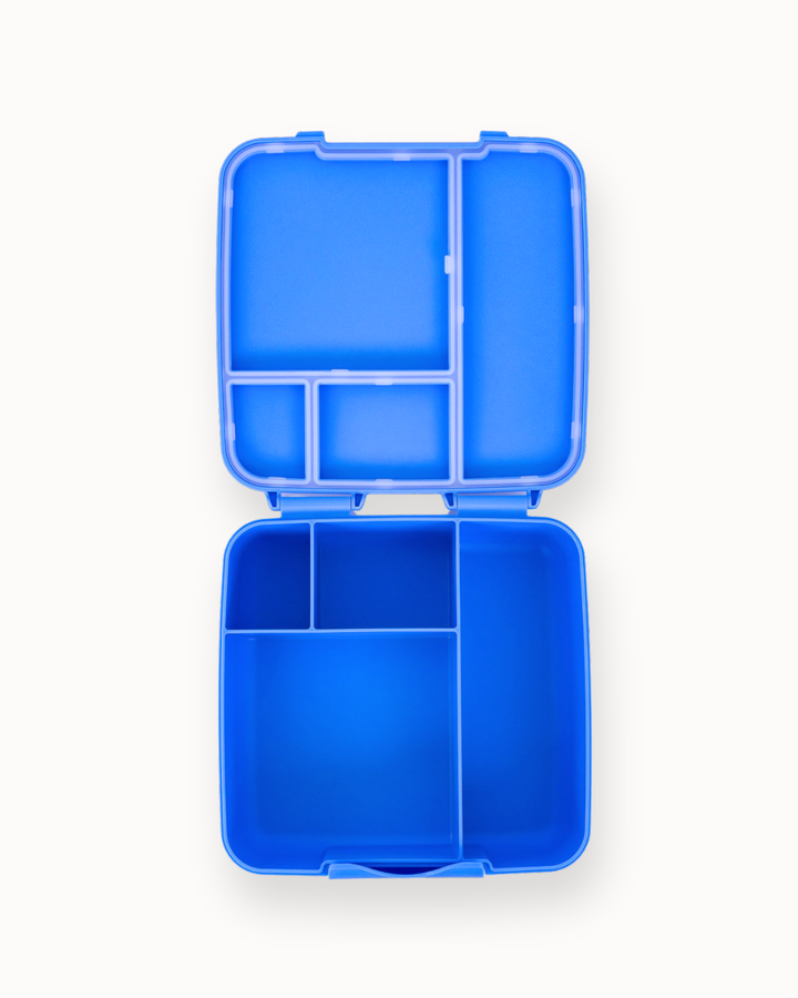 MontiiCo Feast Lunch Box - Blueberry