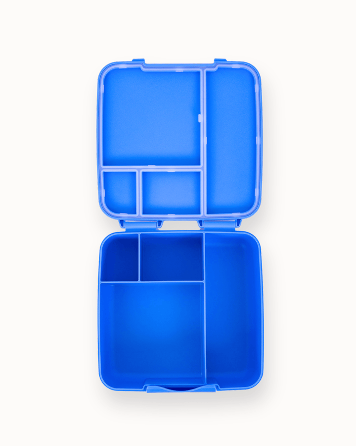 MontiiCo Feast Lunch Box - Blueberry