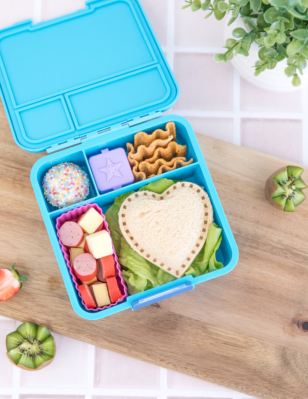 MontiiCo Bento Cups Mixed - Calypso