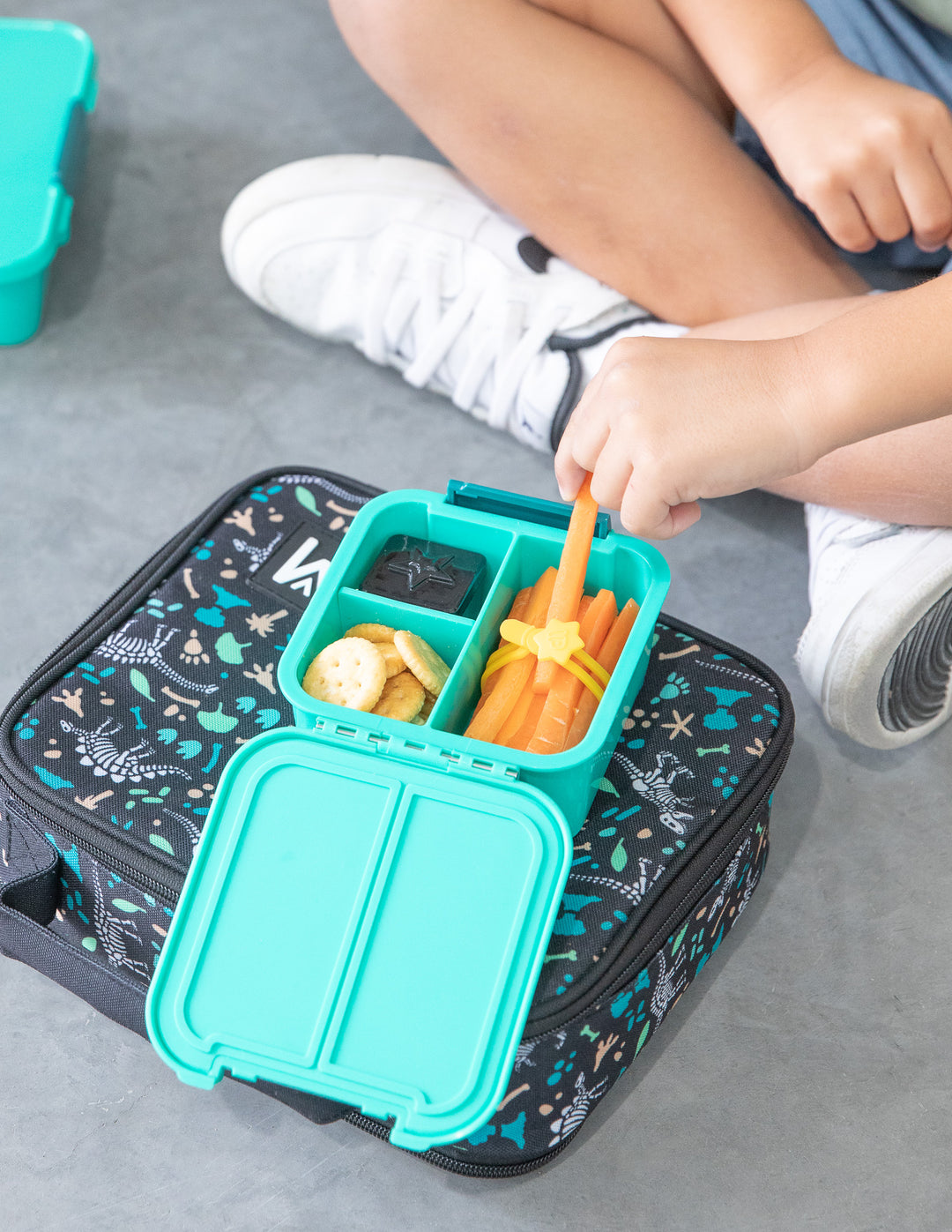 Lunch Punch Silicone Wrap Bands - Burst