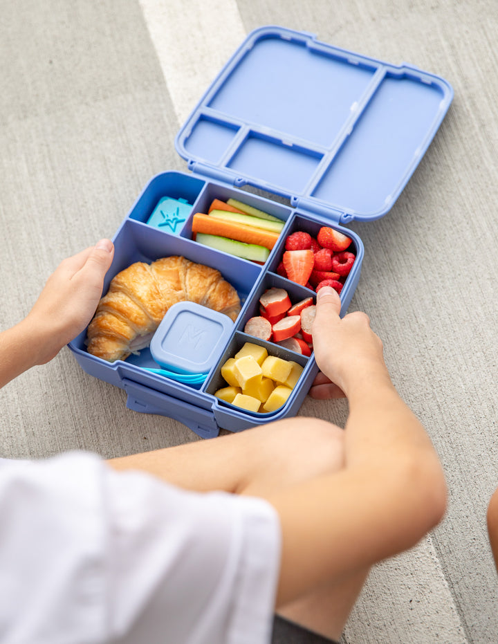 MontiiCo Feast Lunch Box - Splash