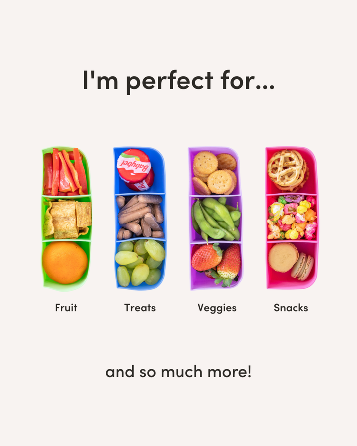 MontiiCo Feast Tray - Indicated the type of food you can put inside
