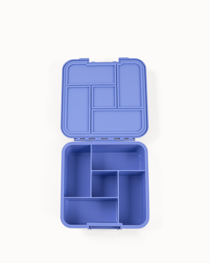 MontiiCo Lunch Box Bundle - Splash