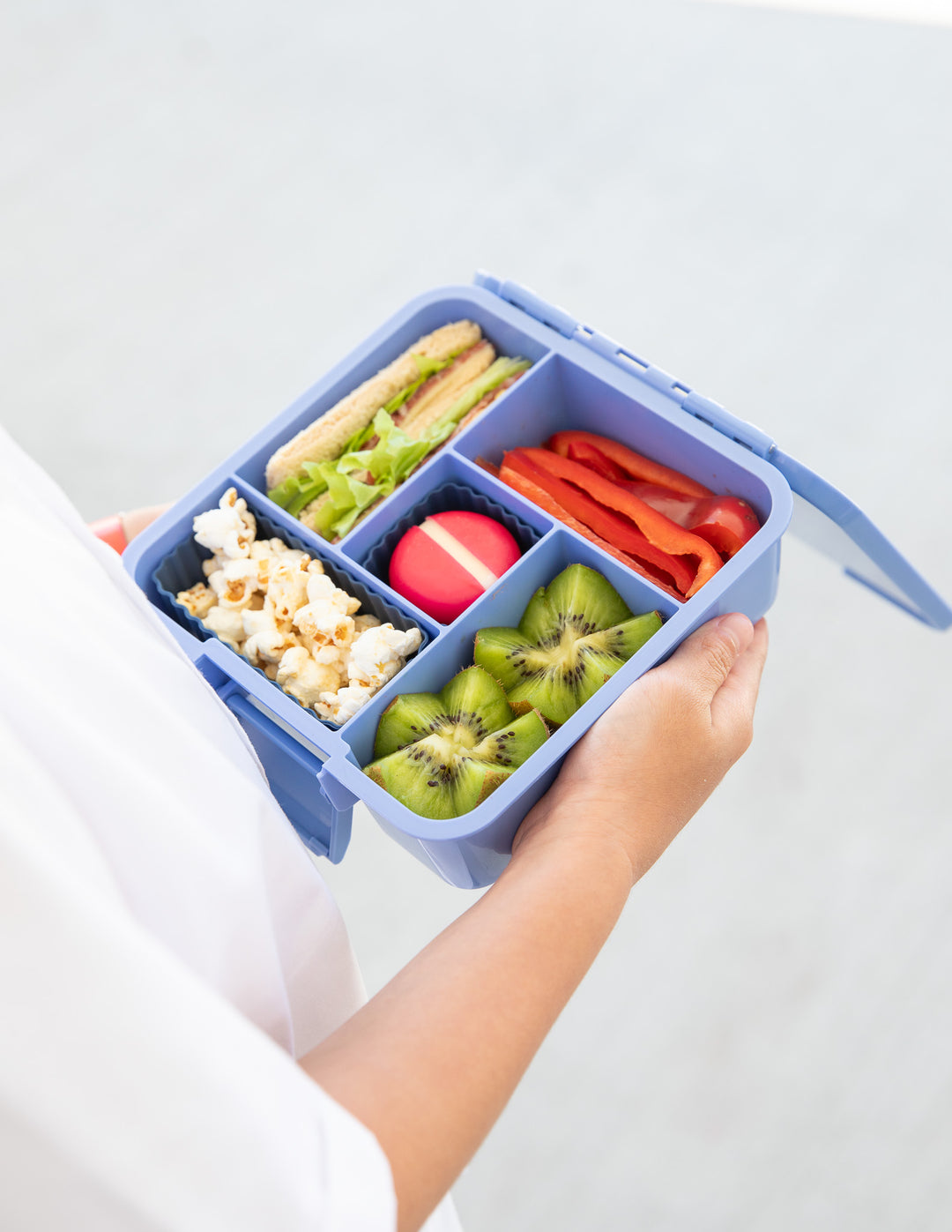 MontiiCo Bento Five Lunch Box - Splash
