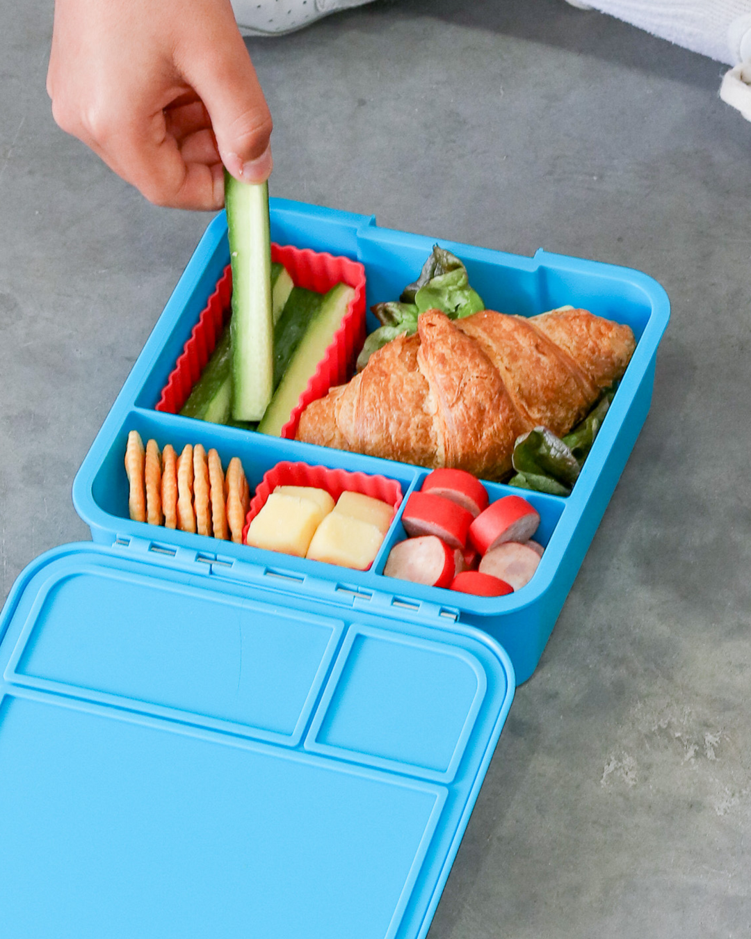 MontiiCo Bento Three Lunch Box - Coastal