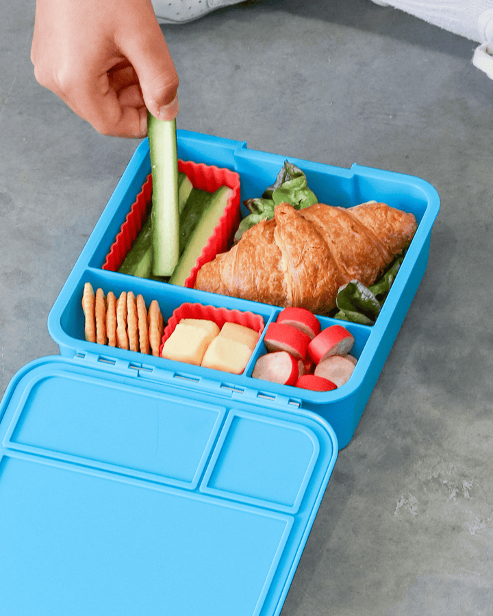 MontiiCo Bento Three Lunch Box - Coastal - open lunch box with compartments and snacks