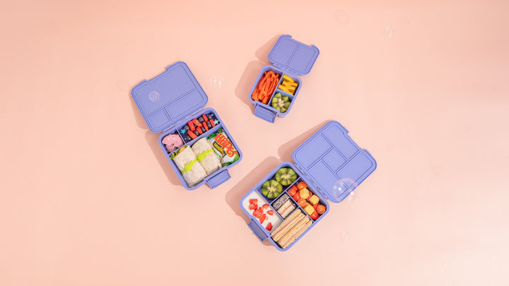 MontiiCo Bento Five Lunch Box - Splash