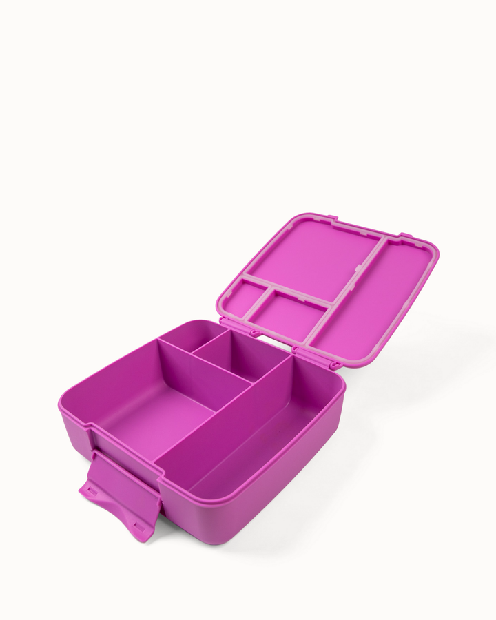 MontiiCo Feast Lunch Box - Fuchsia