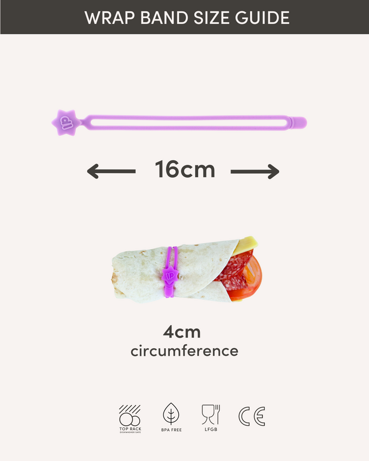 Lunch Punch Bento Set - Brights