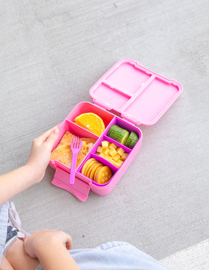 MontiiCo Bite Lunch Box - Floss open lunch box with compartments and snacks