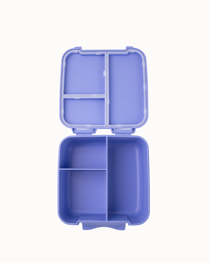 MontiiCo Bite Lunch Box Bundle - Splash