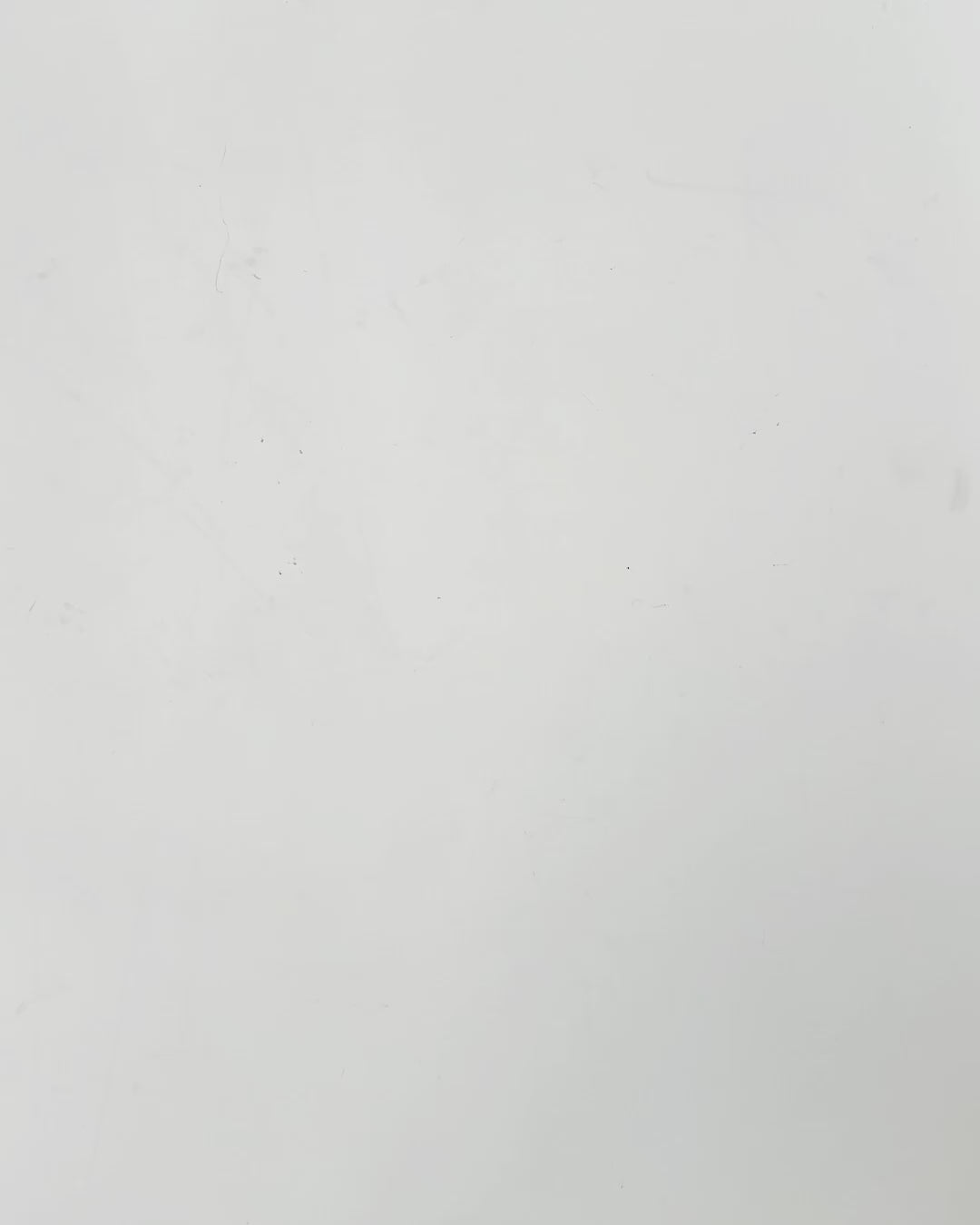 MontiiCo Bento Two Snack Box - Mojito 2.0