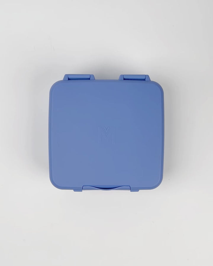 MontiiCo Feast Lunch Box - Splash