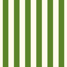 Pickle Stripe - MontiiCo