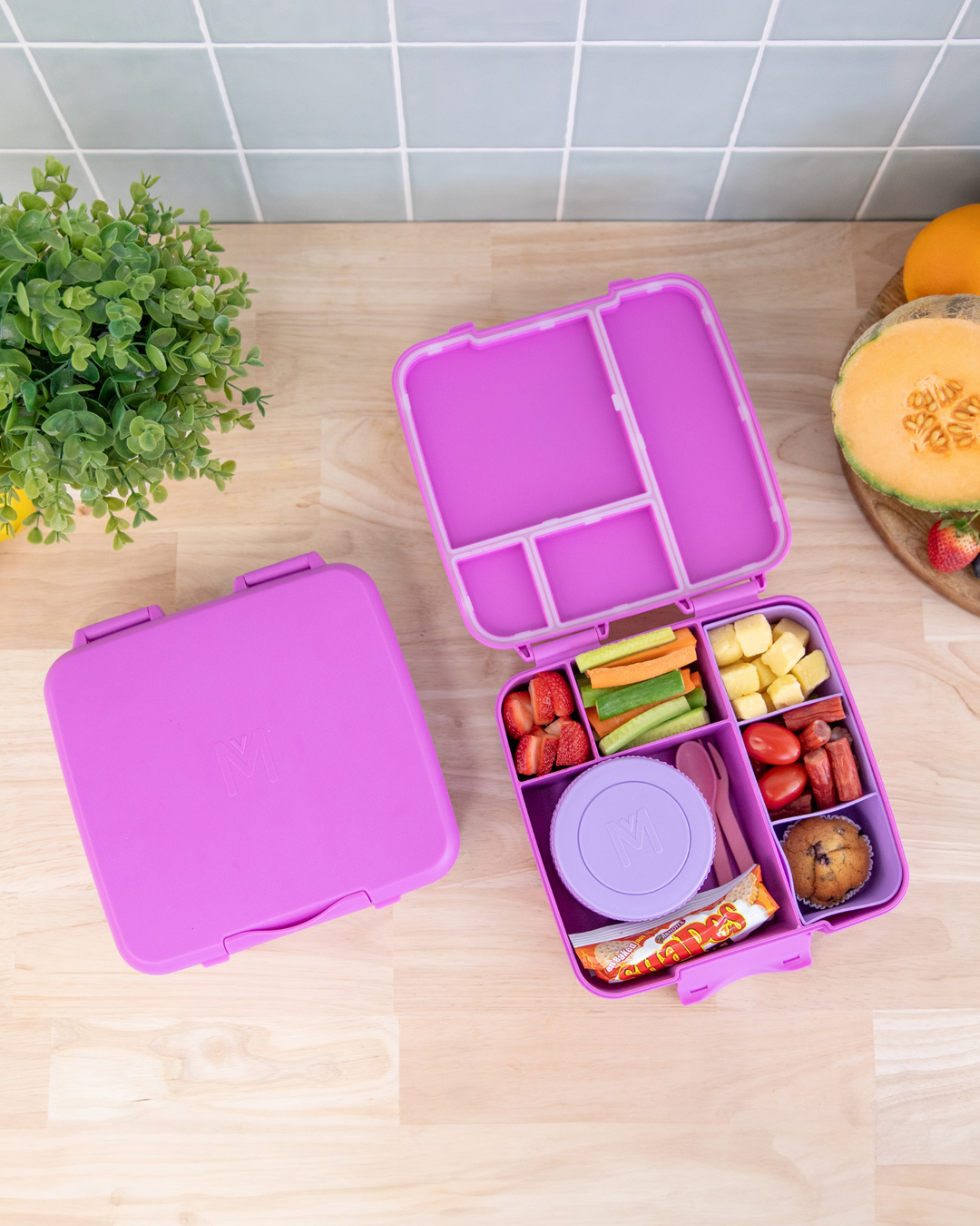 Feast Lunch Boxes