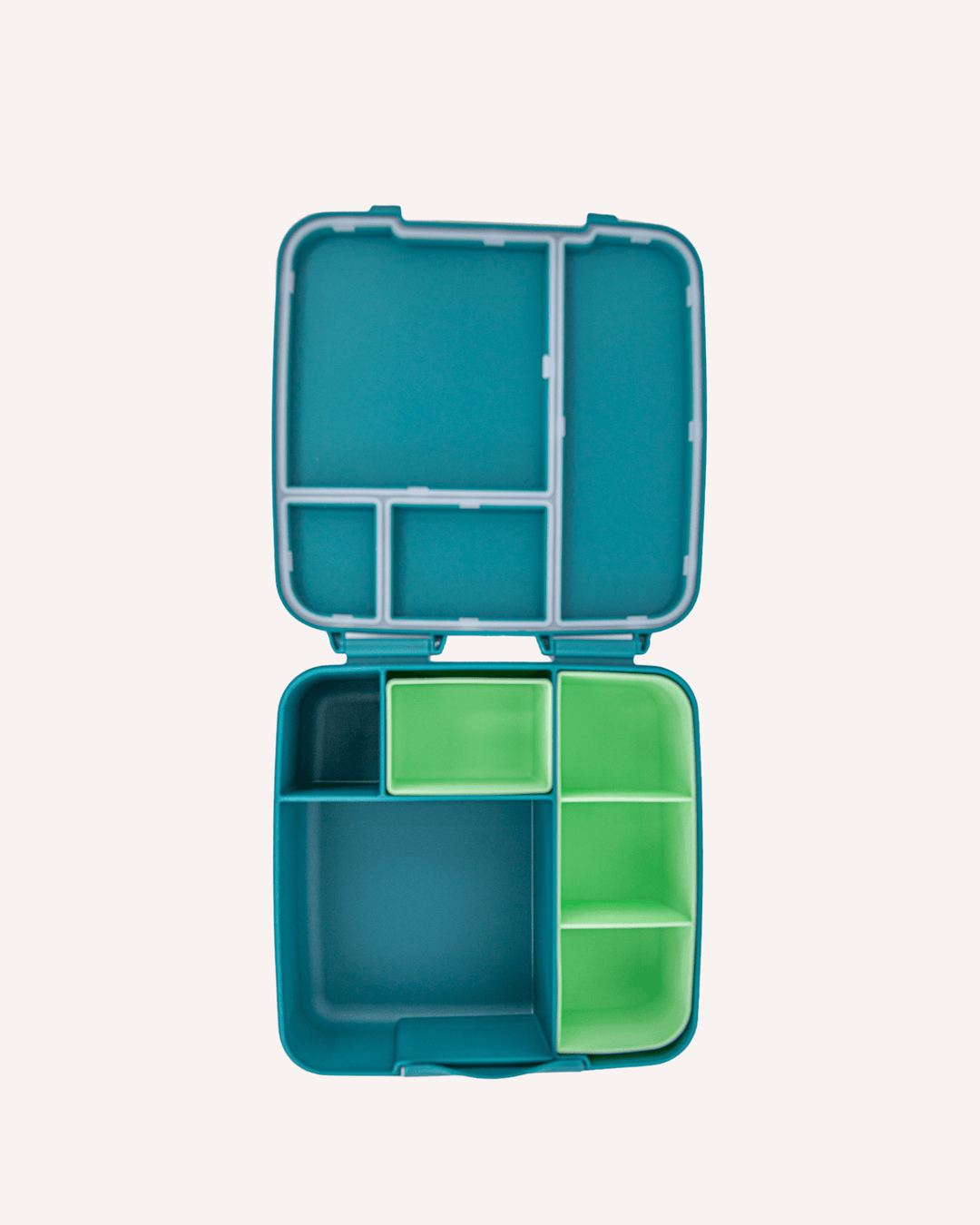 Feast Lunch Box Accessories - MontiiCo