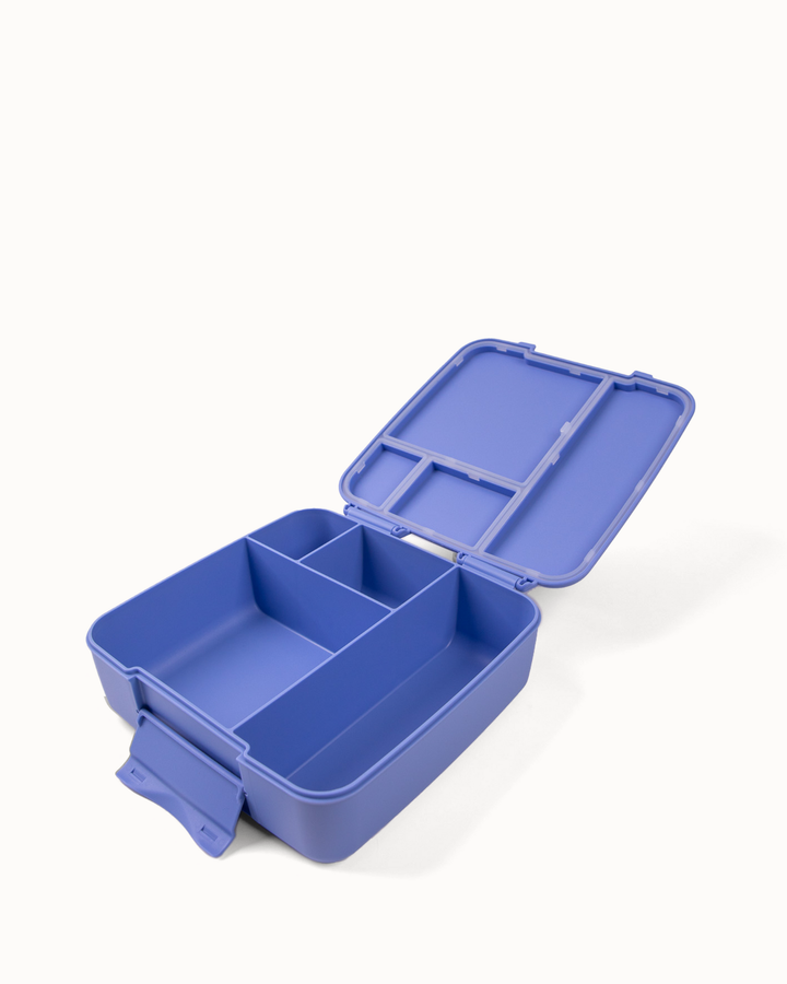 MontiiCo Feast Lunch Box - Splash