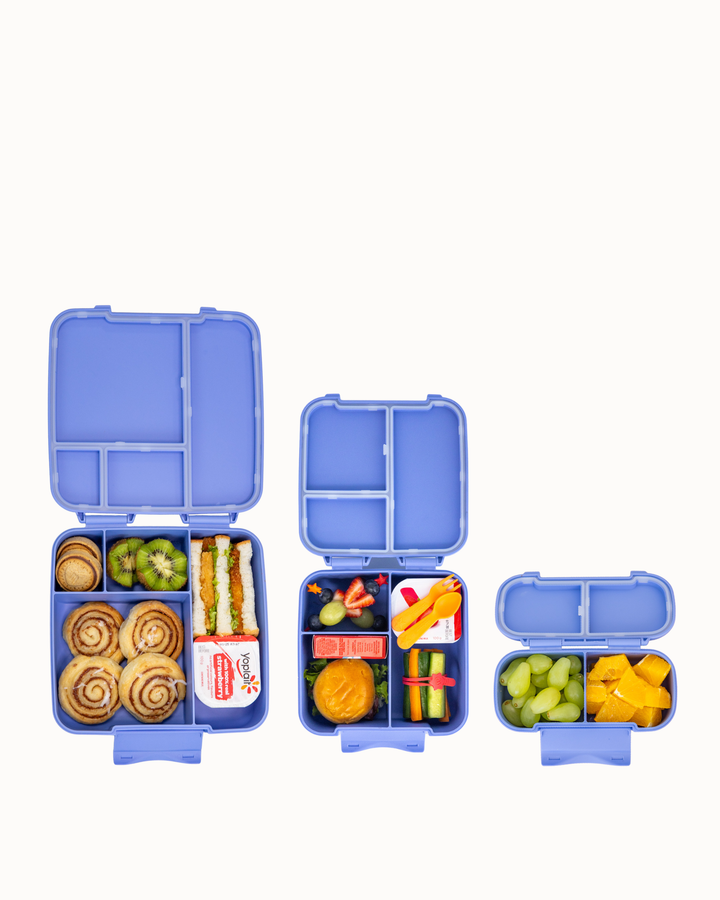 MontiiCo Feast Family Mega Bundle - Splash