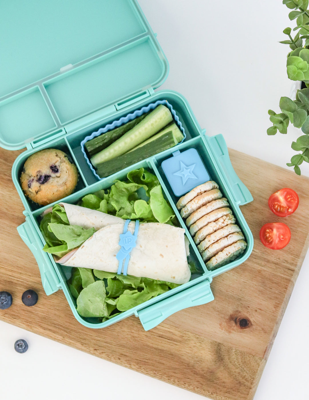 MontiiCo Bento Plus Lunch Box - Lagoon