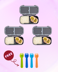 MontiiCo Snack Lunch Box Triple Dip - Midnight