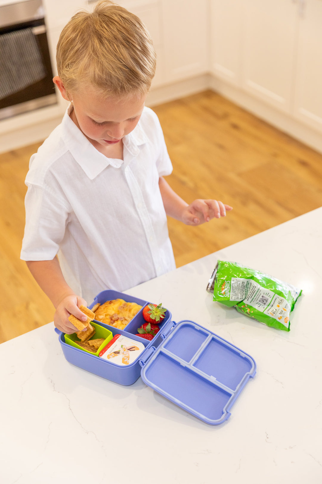 MontiiCo Bite Lunch Box - Splash