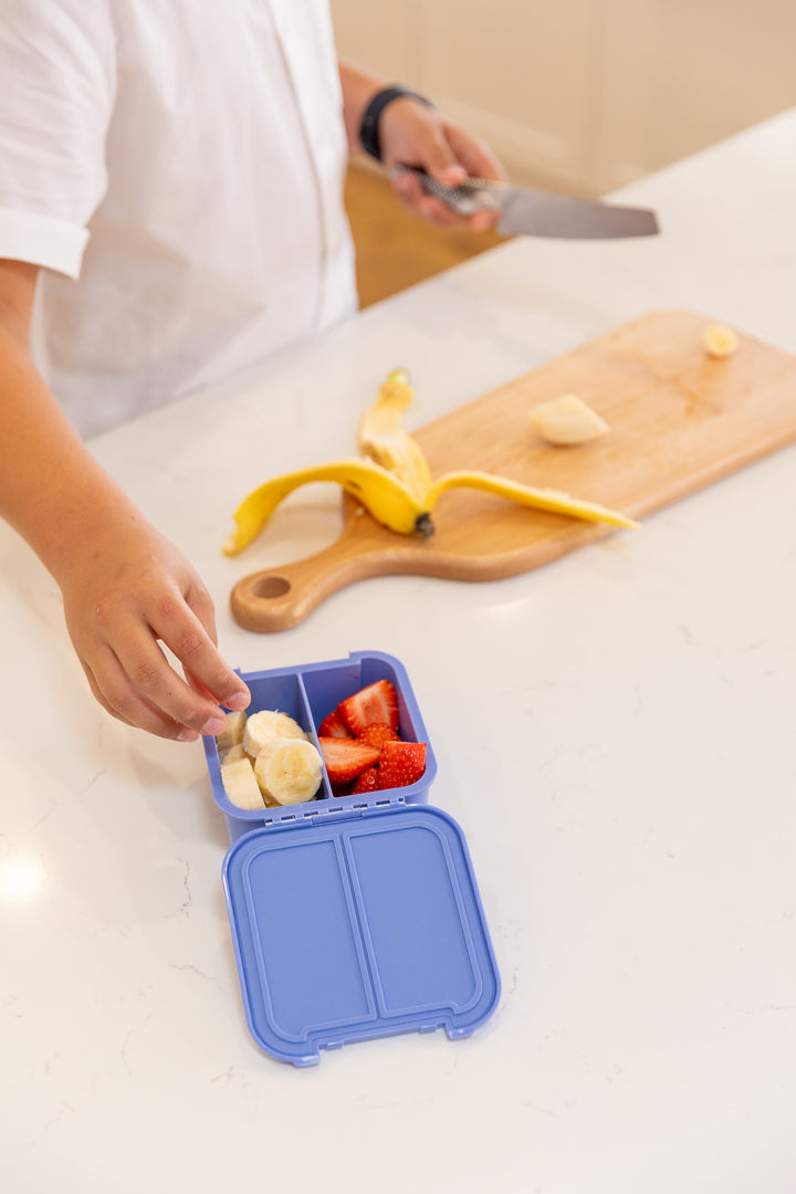 MontiiCo Large Selective Snacker Bundle - Splash