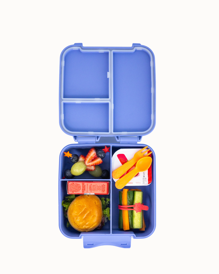 MontiiCo Bite Lunch Box - Splash