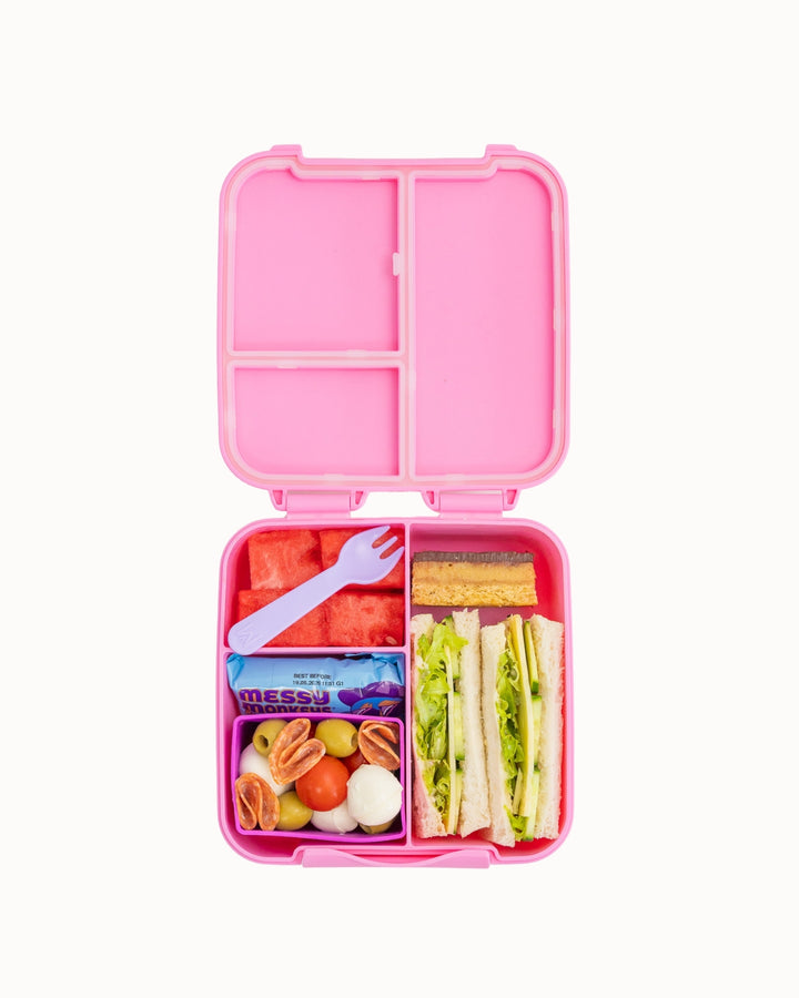MontiiCo Bite Lunch Box - Floss