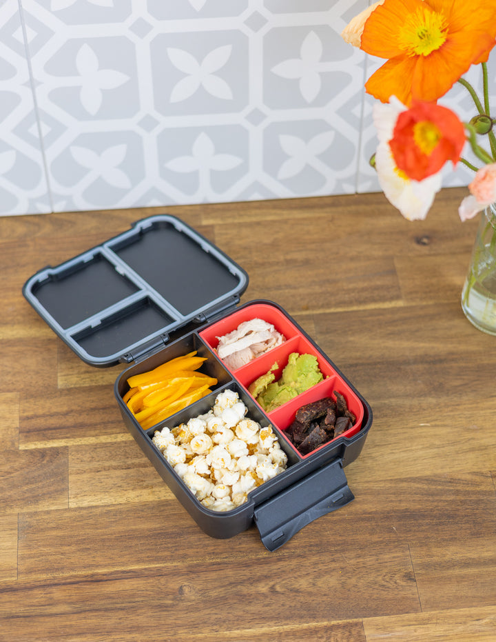 MontiiCo Bite Tray - Watermelon