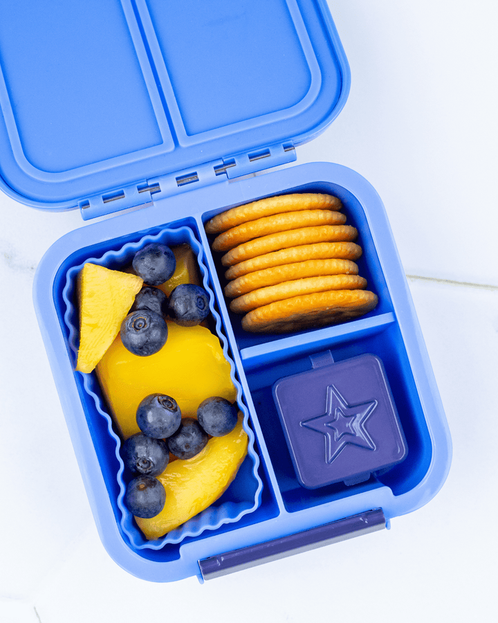 MontiiCo Bento Dip & Sauce Box - Navy