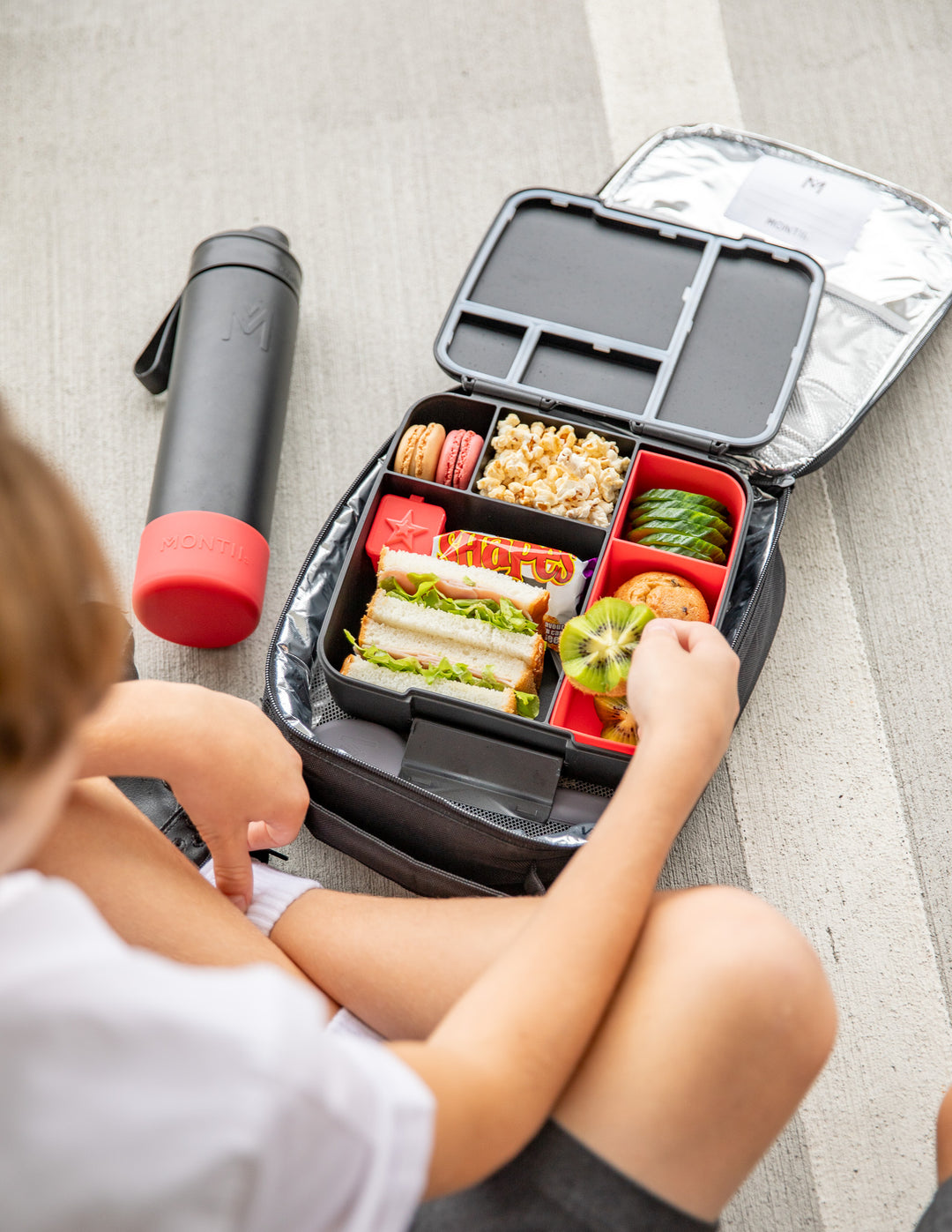 MontiiCo Busy Bee Bundle - Midnight