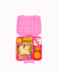 MontiiCo Feast Lunch Box - Floss