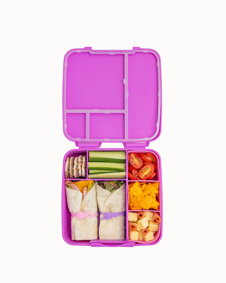 MontiiCo Feast Lunch Box - Fuchsia