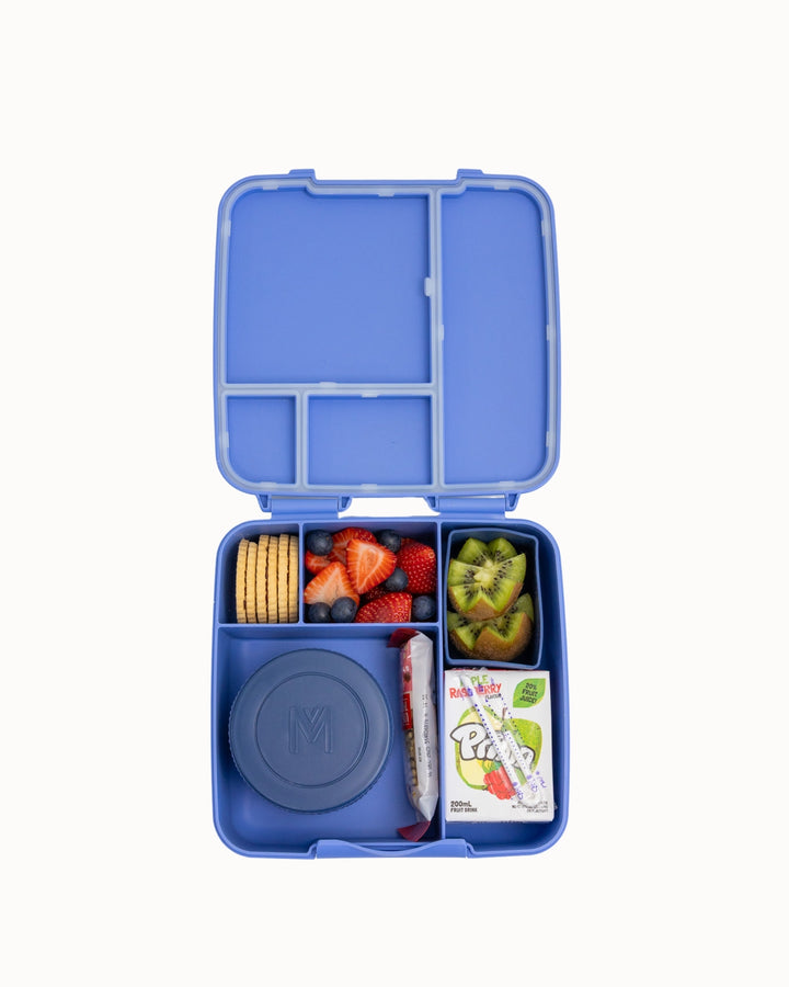 MontiiCo Feast Lunch Box - Splash