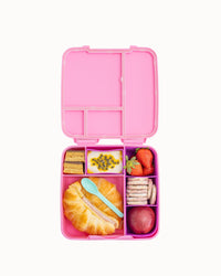 MontiiCo Feast Lunch Box - Floss