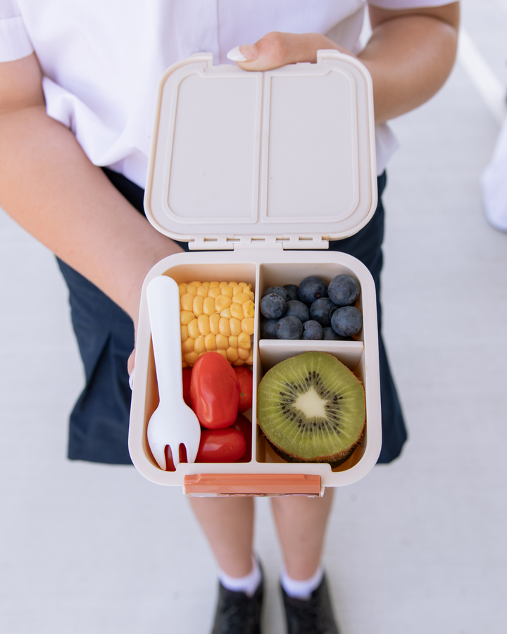 MontiiCo Bento Two Snack Box - Endless Summer