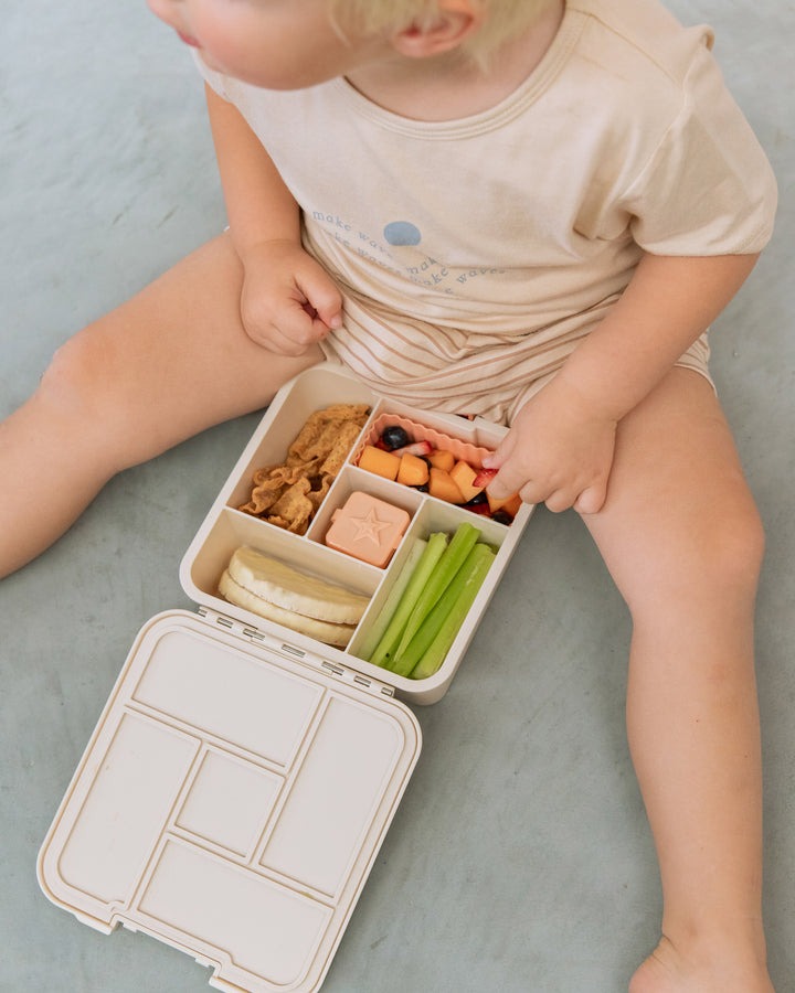 MontiiCo Bento Five Lunch Box - Endless Summer