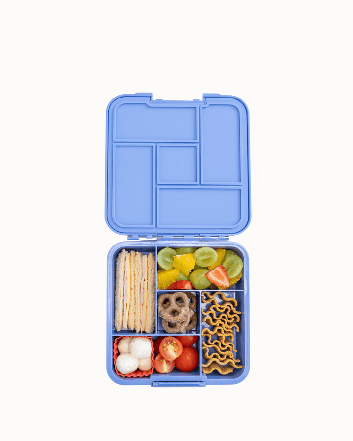 MontiiCo Bento Five Fun Set - Splash