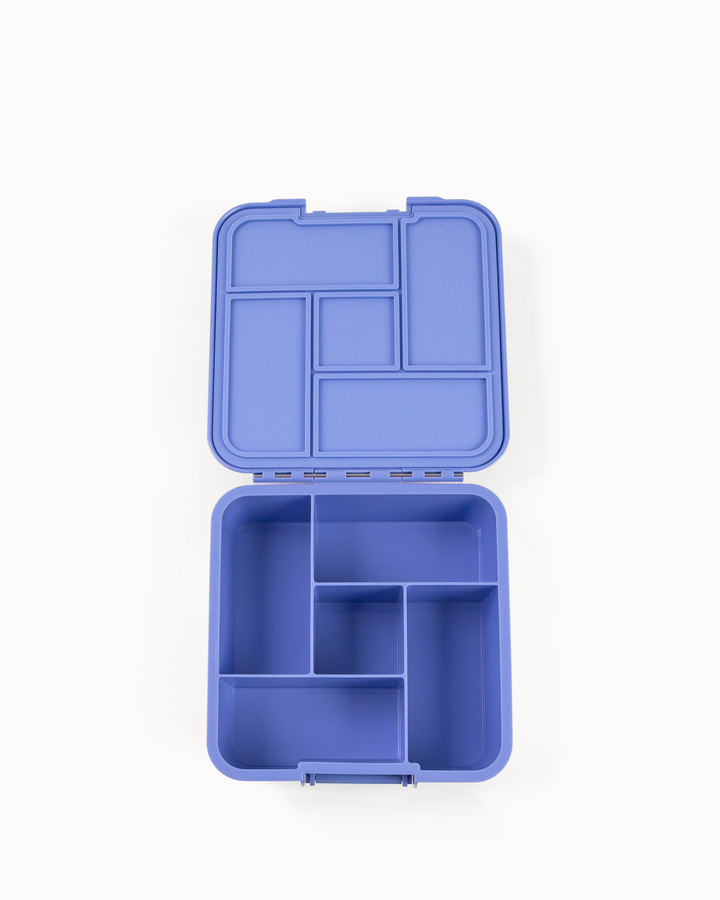MontiiCo Bento Five Lunch Box - Splash