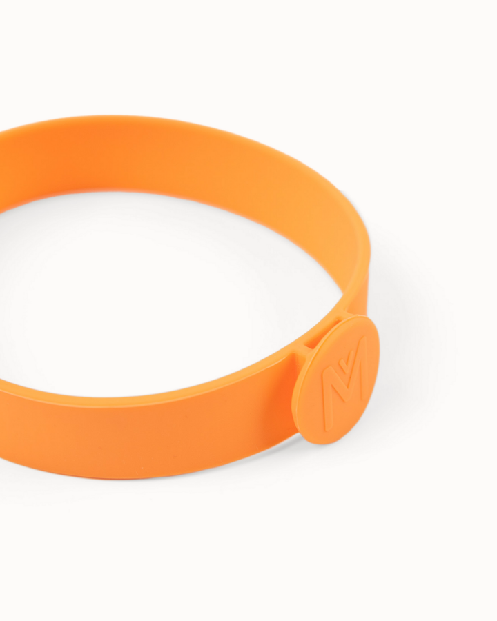 MontiiCo Mini Lunch On The Go Set - Mojito