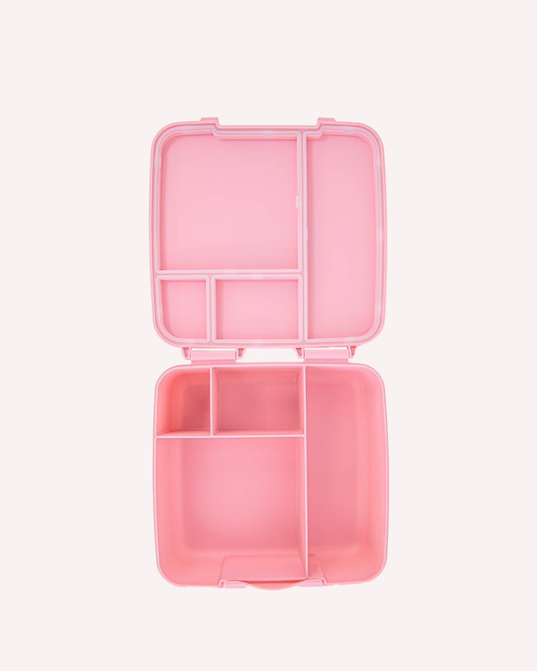 PRE-ORDER MontiiCo Feast Bento Lunch Box - Dahlia