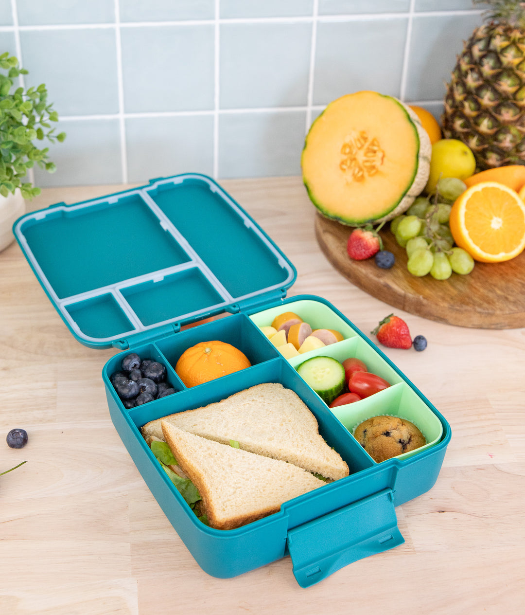 PRE-ORDER MontiiCo Feast Bento Lunch Box - Pine