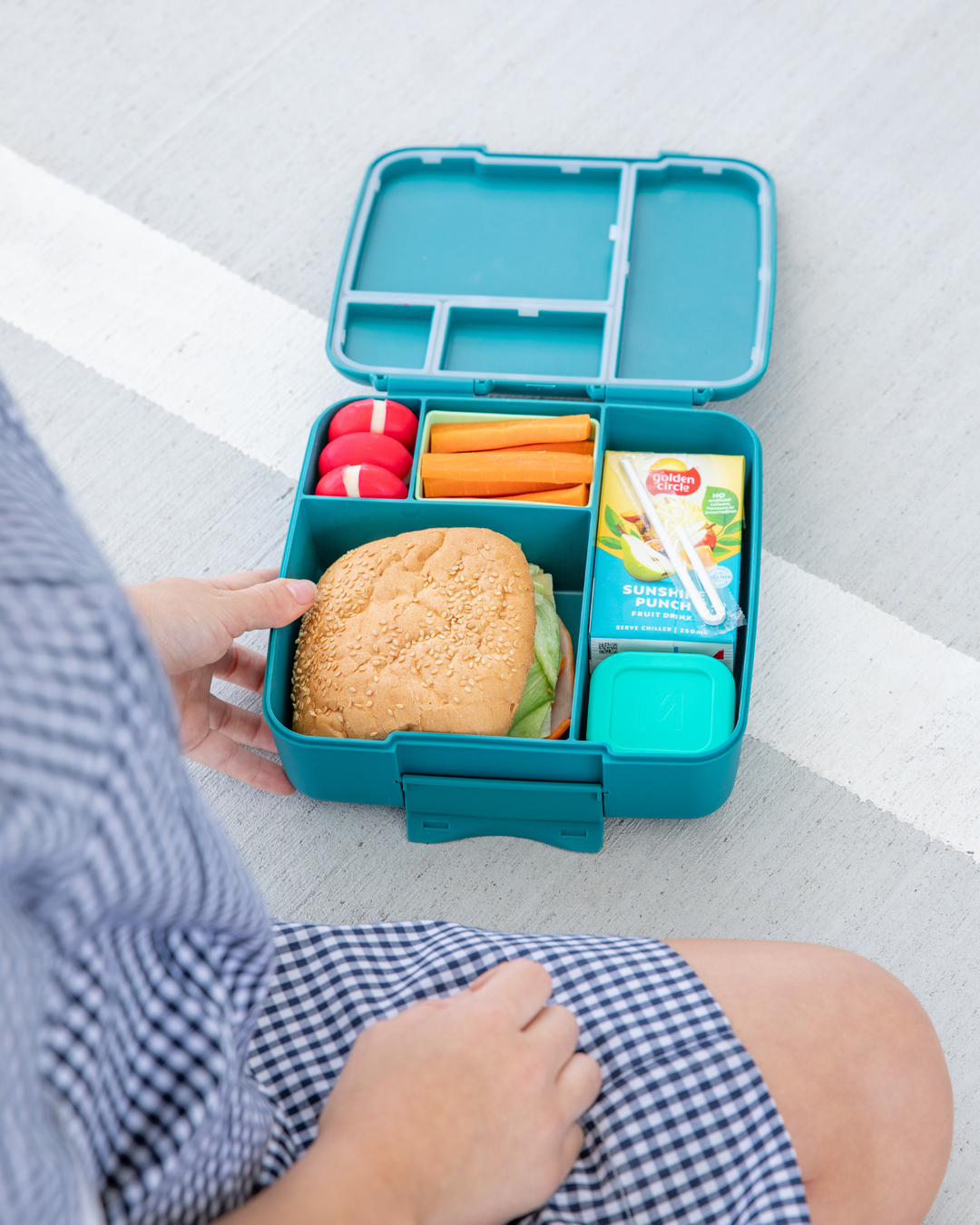 PRE-ORDER MontiiCo Feast Bento Lunch Box - Pine