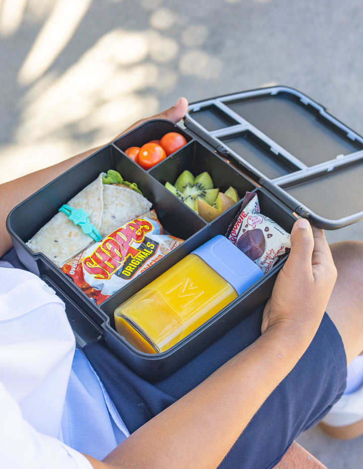 MontiiCo Feast Family Mega Bundle - Midnight