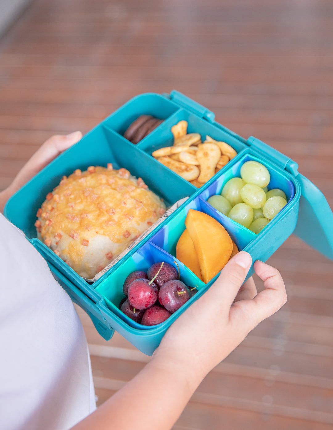 MontiiCo Feast Bento Lunch Box - Pine