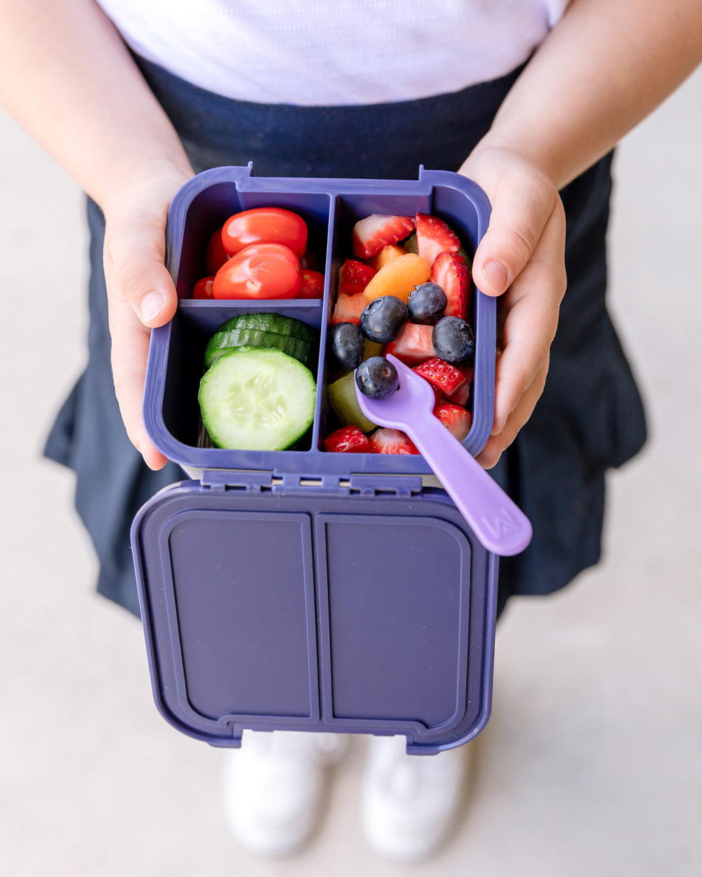 MontiiCo Kindergartentasche Mini Kühltasche mit Kühlakku für eine kleine  Brotdose (Small Petals Blumen) - Kindergarten Lunchbox Isoliertasche für  Jungs sowie Mädchen
