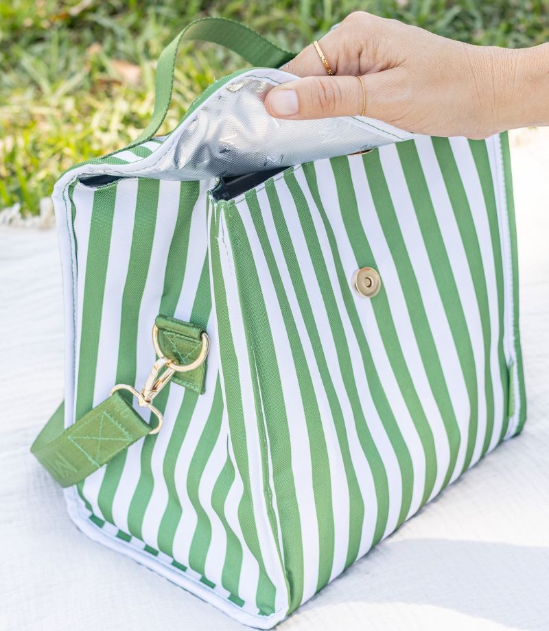 MontiiCo Insulated Lunch Carrier - Pickle Stripe