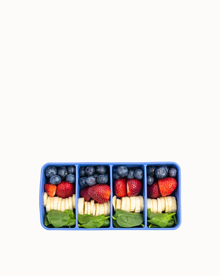MontiiCo 4 Portion Silicone Freezer Tray - Splash